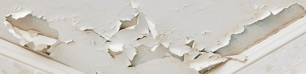 Penetrating Damp